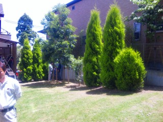 芝生を並べる。