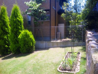 目土は乾燥から芝生を守る重要な作業です。必ず行うようにしてください。