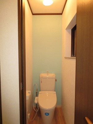 ＬＩＸＩＬフチレス