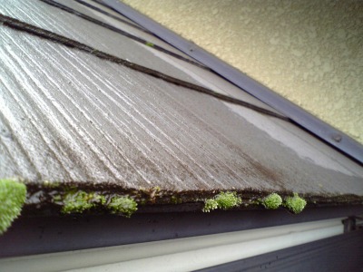 屋根塗装施工前