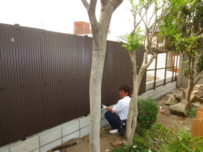 波板フェンス貼り中